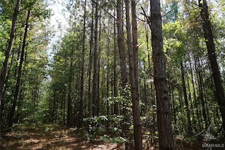 1911 County Road 56, Buena Vista, AL 36425