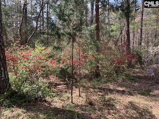 0 Eleazer (Parcel C) Rd Unit 621895, Irmo, SC 29063