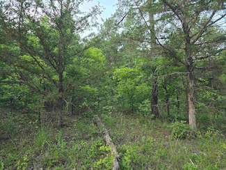 0 Hopewell Hollow Rd, Norfork, AR 72658