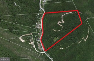 0 Lucas Hollow Rd Unit 1002412948, Stanley, VA 22851