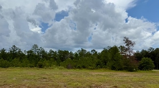 13165 Blackberry Dr, Lumberton, TX 77657