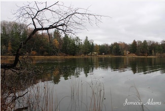 02 S Paris, Yates Township, MI 49642