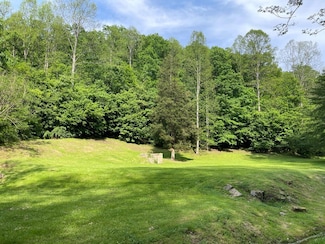 000 Turkey Crum Branch, Inez, KY 41224