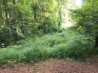 Lot S-16 Town Mountain Dr, Franklin, NC 28734