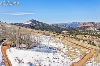 306 Troy Way, Cripple Creek, CO 80813