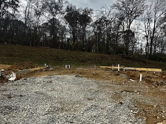 6204 Sycamore Stream Rd, Dandridge, TN 37725