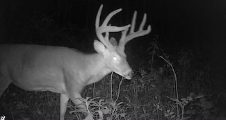 E 100th St, Blythedale, MO 64426