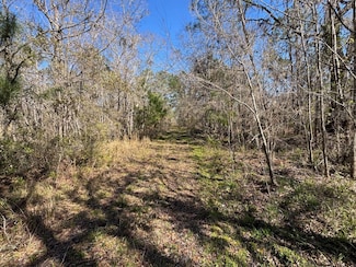 001 SE Brushy Hammock Rd Unit 1, Mayo, FL 32066