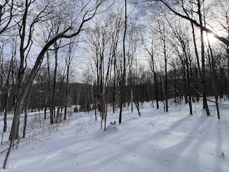 Lot 1 Streeter Rd, Wardsboro, VT 05360