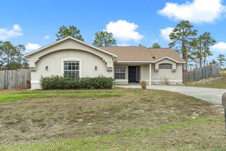 13135 Flotilla Ct, Brooksville, FL 34613