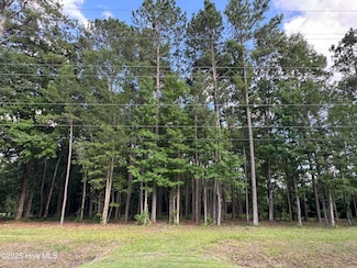 1672 Slatestone, Washington, NC 27889
