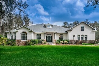 3505 McIntosh Oaks Ct, Dover, FL 33527