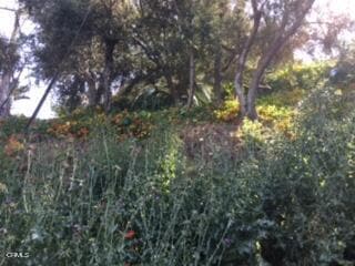 0 Earl Ct, Los Angeles, CA 90039