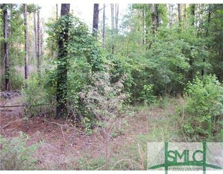 0 Hwy 119 Hwy N Unit 98104, Clyo, GA 31303