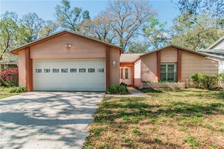 14704 Tall Tree Dr, Lutz, FL 33559