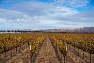 31102 Camphora Gloria Rd, Soledad, CA 93960