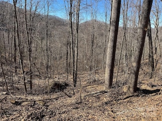 Lot 25 Andrew Banks Rd, Burnsville, NC 28714
