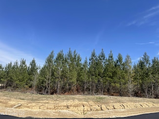 762 Freedom Ridge Ln, Brandon, MS 39047