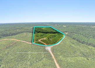 00 County Road 79, Waterloo, AL 35677