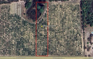 0 Mammoth Grove Rd Unit MFRP4935057, Lake Wales, FL 33898