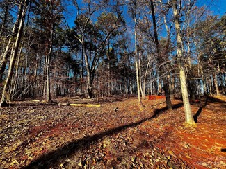 123 Hunt Camp Trail Unit 17, Davidson, NC 28036