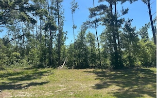 TBD NW Bur Oak Place, Jennings, FL 32053