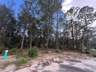 0 Bahia Circle Dr Unit MFROM692300, Silver Springs Shores, FL 34472