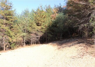 585 Morlin Acres Dr Unit 13, Marshall, NC 28753