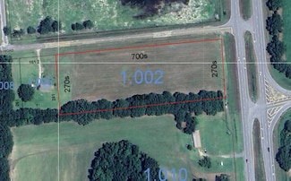 4.37 +/- Ac N Hwy 431 & Rocky Mt Church Rd, Eufaula, AL 36027