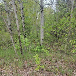 LOT #42 E Roberta Dr, South Branch Township, MI 48653