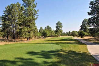 883 Marmot Dr, Ridgway, CO 81432