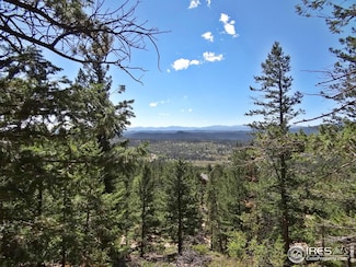 203 Mattapony Way, Red Feather Lakes, CO 80545