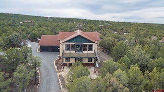41 Oak Rd, Ridgway, CO 81432