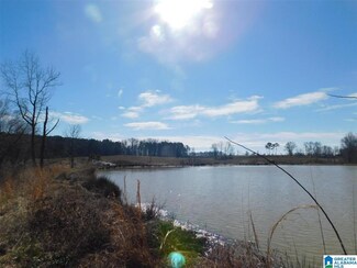 0 Loop Rd Unit 38 1275856, Steele, AL 35987