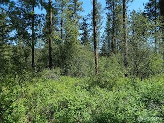 111 Tbd Murphy Ranch Rd, Tonasket, WA 98855