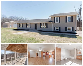 19653 Pike 136, Louisiana, MO 63353