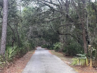 0 Our Rd, Inglis, FL 34449