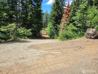 2 Newport Creek Loop, Ronald, WA 98940