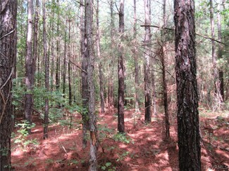 12.68 acres Lew Jones Rd, Dewitt, VA 23840