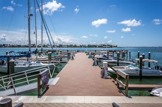 5200 Brittany Dr S Unit 902, Saint Petersburg, FL 33715