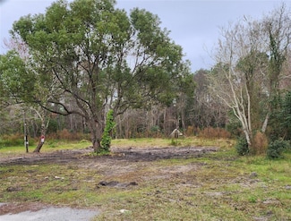 28438 Hibiscus Ave, Paisley, FL 32767