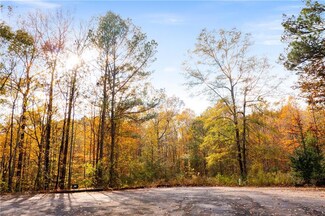 299, Calhoun, GA 30701