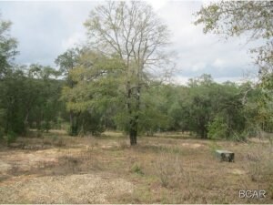 3494 Mallory Rd, Vernon, FL 32462