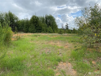 0 Curlew Ct, Hoquiam, WA 98550