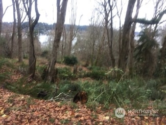 8119 Sand Dollar Ln, Clinton, WA 98236