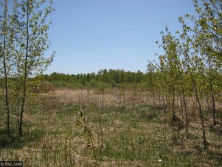XXXX3 Legacy Rd, Grygla, MN 56727