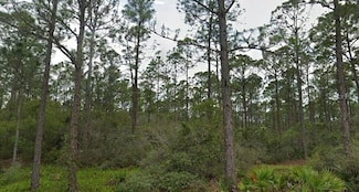 230 Sunway Dr, Lake Placid, FL 33852