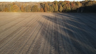 W Birch Run Rd, Burt, MI 48417