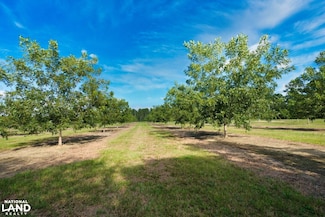 0 Gravel Hill Rd Unit 22775020, Bridgeboro, GA 31705