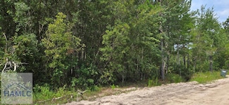 7.56 Acr Maple Rd, Ludowici, GA 31316